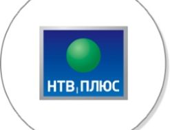 быстрая проверка баланса нтв плюс
